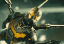 yellowjacket antman
