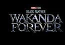 black panther wakanda forever logo banner