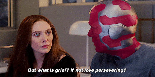 VIsion and Wanda gif