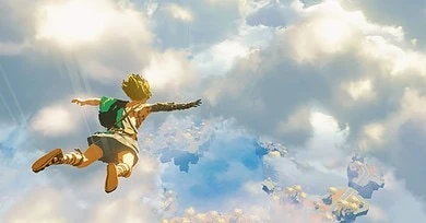 Link falling in the sky