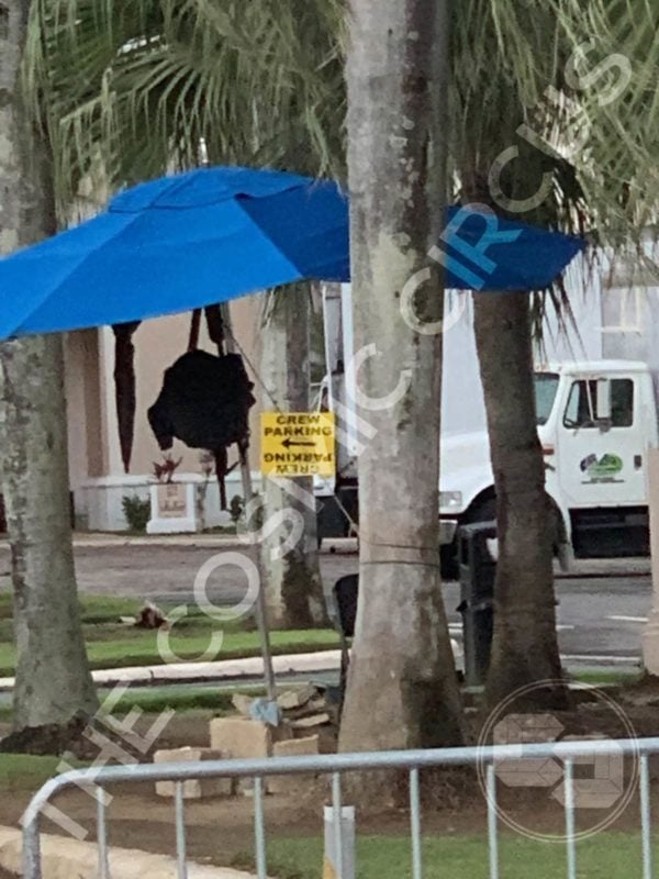 BP Wakanda Forever filming