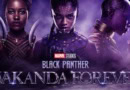 wakanda forever filming in Puerto Rico banner