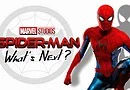 Spider-man what's next