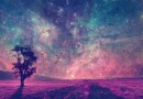 Support Cosmic Circus page
