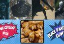 Black Panther Claws Banner