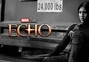Echo-Delayed-Confirmed-Dayre
