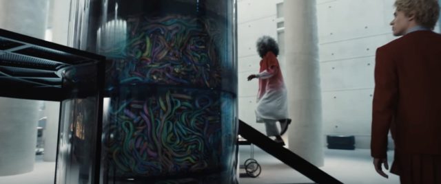 Dr Gaul's lab (songbirds and snakes)