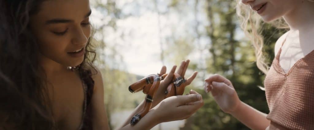 Lucy Gray holds a snake (songbirds and snakes)