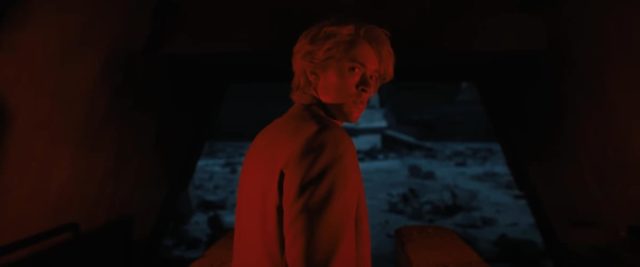 Snow in the arena (songbirds and snakes)