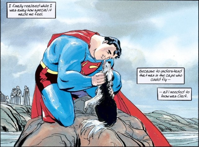 superman-for-all-seasons-dog.jpg