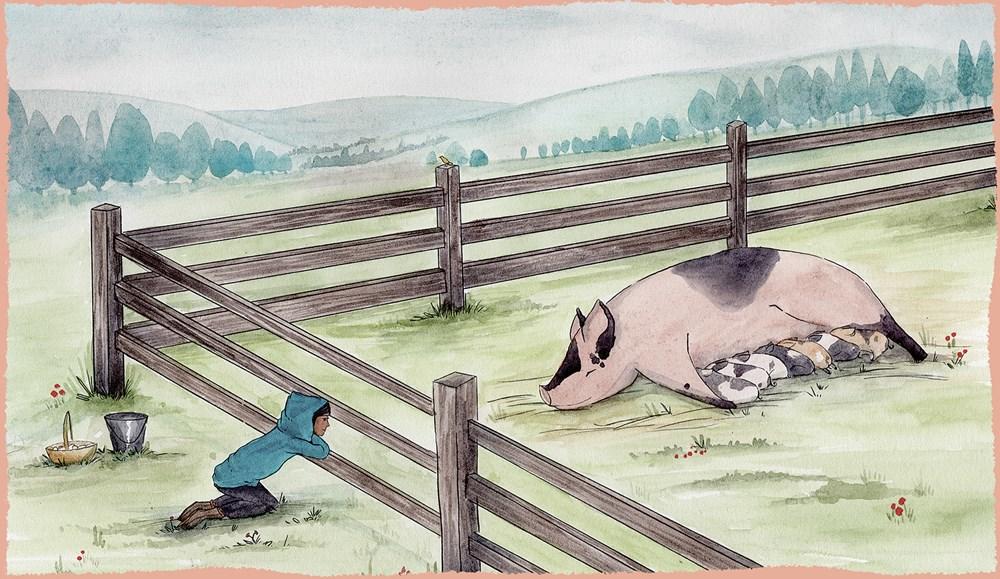 Pigs Can't Look Up by Vincent D'Onofrio