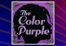 The Color Purple by Alice Walker banner