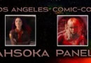 Ahsoka Panel Sabine and Shin Banner