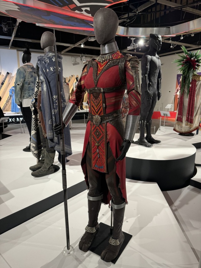 Ayo's Dora Milaje costume in Black Panther