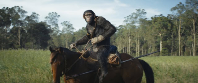 Noa in Kingdom of the Planet of the Apes