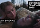 Train-dreams-movie-revew-sundance-2025 starring Joel Edgerton