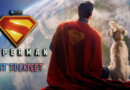 Superman (2025) movie What To Expect banner