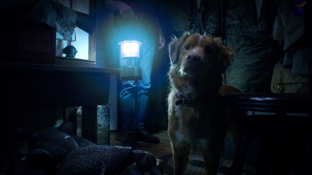 Good Boy movie Fantasia Fest