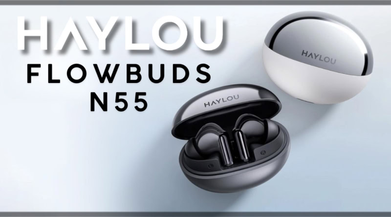 High-quality HAYLOU N55 wireless earbuds with charging cases, designed for premium sound and comfort.