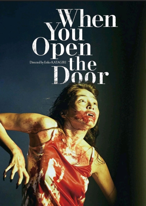 Poster for 'When You Open the Door' horror film.