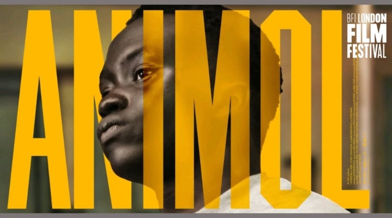 Animol (2026) film review banner from BFI London Film Festival